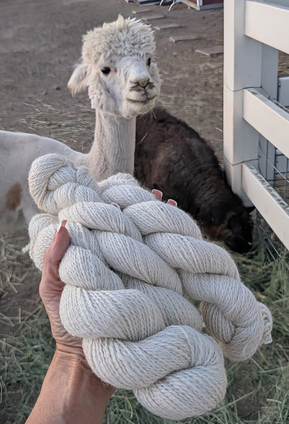 Alpaca Yarn - Diego