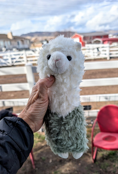 Alpaca Stuffy
